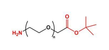 NH2-PEG-COOtBu；氨基聚乙二醇叔丁酯；COOtBu-PEG-NH2