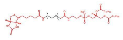 Biotin-PEG-DSPE；生物素聚乙二醇磷脂；DSPE-PEG-Biotin