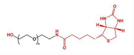 HO-PEG-Biotin；羟基聚乙二醇生物素；Biotin-PEG-OH