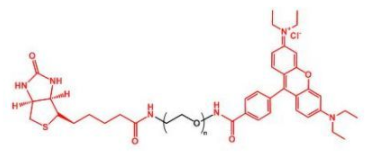 Biotin-PEG-Rhodamine；生物素聚乙二醇罗丹明；RB-PEG-Biotin