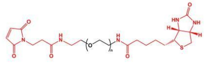 MAL-PEG-Biotin；马来酰亚胺聚乙二醇生物素 ；Biotin-PEG-MAL