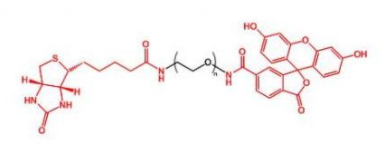 Biotin-PEG-FITC；生物素聚乙二醇荧光素；FITC-PEG-Biotin