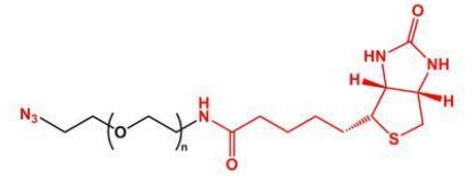 N3-PEG-Biotin；叠氮聚乙二醇生物素；Biotin-PEG-Azide