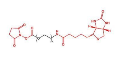 NHS-PEG-Biotin；活性酯聚乙二醇生物素；Biotin-PEG-NHS