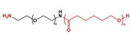 PCL-PEG-NH2；聚己内酯聚乙二醇氨基；NH2-PEG-PCL