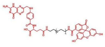 FITC-PEG-FA；荧光素聚乙二醇叶酸；Folate-PEG-FITC