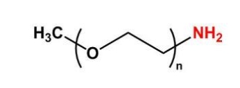 mPEG-NH2；mPEG-Amine；甲氧基聚乙二醇胺 