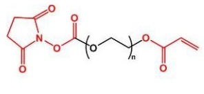 NHS-PEG-AC；活性酯聚乙二醇丙烯酸酯；NHS-PEG-Acrylate