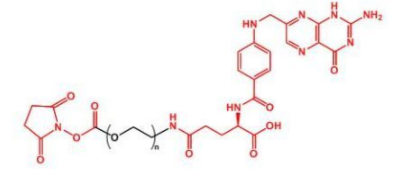 NHS-PEG-FA；活性酯聚乙二醇叶酸；Folate-PEG-NHS