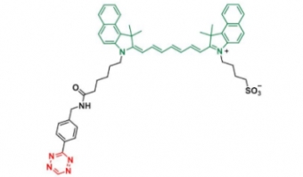 Tetrazine-ICG ；四嗪-吲哚菁绿；C54H57N7O4S