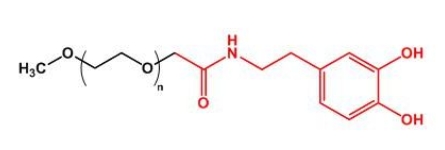 mPEG-Dopamine；mPEG-DOPA；甲氧基聚乙二醇多巴胺
