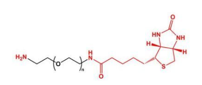 NH2-PEG-Biotin；氨基聚乙二醇生物素；生物素聚乙二醇胺
