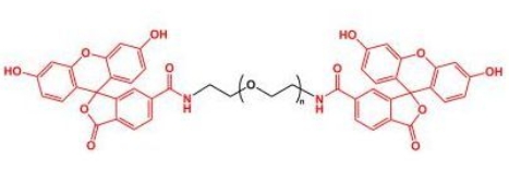 Fluoresein-PEG-Fluoresein；FITC-PEG-FITC；二荧光素聚乙二醇 