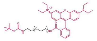 Boc-NH-PEG-RB；叔丁氧羰基聚乙二醇罗丹明；Boc-NH-PEG-Rhodamine B  