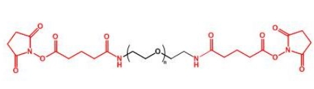  GAS-PEG-GAS;二戊二酰胺琥珀酰亚胺聚乙二醇