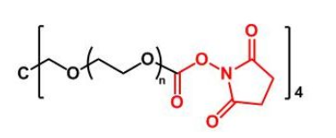 4ARM-PEG-NHS；四臂聚乙二醇活性酯；4ARM-PEG-SC