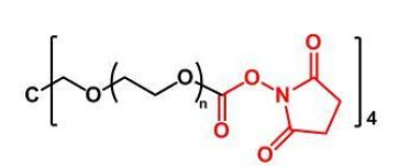 4ARM-PEG-NHS；四臂聚乙二醇活性酯；四臂PEG琥珀酰亚胺碳酸酯