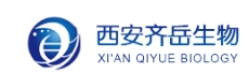 PLGA-PEG-PLGA;二聚乳酸-羟基乙酸共聚物聚乙二醇