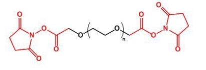  NHS-PEG-NHS，SCM-PEG-SCM;二琥珀酰亚胺乙酸酯聚乙二醇