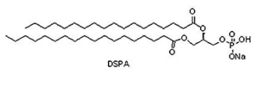 1,2-二月桂酰-sn-甘油-3-磷酸-L-丝氨酸钠盐(DLPS),208757-51-1