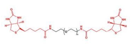  Biotin-PEG-Biotin;BN-PEG-BN;二生物素聚乙二醇