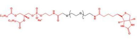 DSPE-PEG-Biotin；磷脂聚乙二醇生物素；Biotin-PEG-DSPE