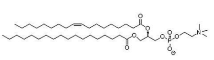 1-硬脂酰基-2-油酰基卵磷脂（SOPC)；56421-10-4；1-stearoyl-2-oleoyl-sn-glycero-3-phosphocholine