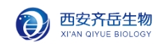 PLGA-PEG-PLGA;二聚乳酸-羟基乙酸共聚物聚乙二醇