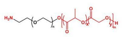 PLGA-PEG-NH2；聚乳酸-羟基乙酸共聚物聚乙二醇氨基；NH2-PEG-PLGA  