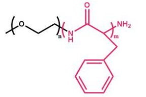 mPEG-b-PPHE；甲氧基聚乙二醇聚苯丙氨酸 ；mPEG-Poly Phenylalanine