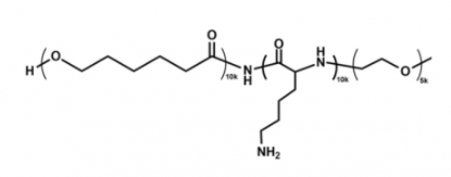 mPEG-PLL-PCL；甲氧基聚乙二醇-聚赖氨酸-聚己内酯