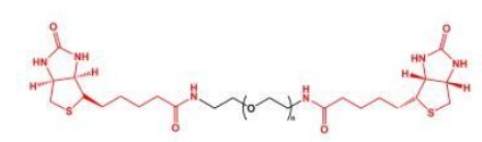 Biotin-PEG-Biotin; BN-PEG-BN;二生物素聚乙二醇