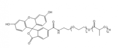PLA-PEG-FITC；聚乳酸聚乙二醇荧光素