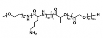 mPEG-PLL-PLGA；甲氧基聚乙二醇-聚赖氨酸-聚（D，L-丙交酯-co-乙交酯）共聚物