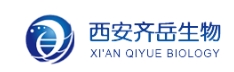 GAA-PEG-GAA;二戊二酰胺酸基聚乙二醇