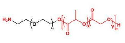 PLGA-PEG-NH2；聚乳酸-羟基乙酸共聚物聚乙二醇氨基；NH2-PEG-PLGA