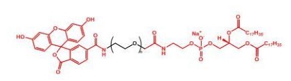  FITC-PEG-DSPE ;DSPE-PEG-FITC; 磷脂-聚乙二醇-荧光素