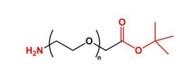 NH2-PEG-COOtBu;氨基聚乙二醇叔丁酯;COOtBu-PEG-NH2