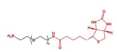 NH2-PEG-Biotin;Biotin-PEG-NH2;氨基聚乙二醇生物素 