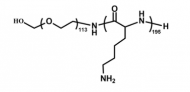 聚赖氨酸-聚乙二醇-羟基，PLL-PEG-OH, Polylysine PEG Conjugate