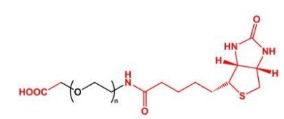 COOH-PEG-Biotin,Biotin-PEG-COOH、羧基聚乙二醇生物素