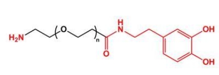 NH2-PEG-Dopamine；氨基聚乙二醇多巴胺 