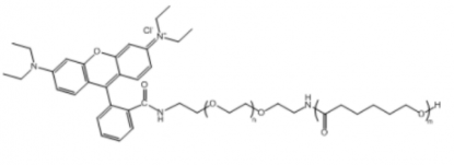 PCL-PEG-RB；聚己内酯聚乙二醇罗丹明