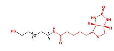 SH-PEG-Biotin；Biotin-PEG-SH；巯基聚乙二醇生物素