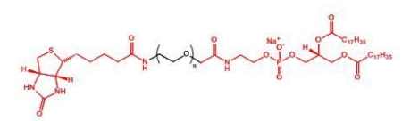 Biotin-PEG-DSPE； DSPE-PEG-Biotin；生物素聚乙二醇磷脂