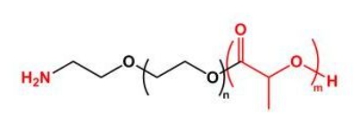  PLA-PEG-NH2；聚乳酸聚乙二醇氨基；NH2-PEG-PLA