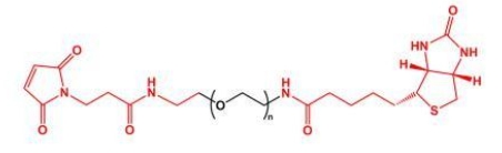 MAL-PEG-Biotin Biotin-PEG-MAL 马来酰亚胺聚乙二醇生物素