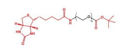  Biotin-PEG-COOtBu；Biotin-PEG-TERT；生物素聚乙二醇叔丁酯