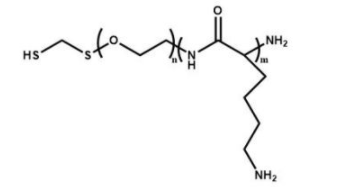 HS-PEG-PLL；巯基聚乙二醇聚赖氨酸；Polylysine-PEG-Thiol