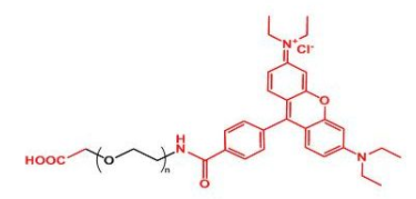 Rhodamine-PEG-COOH；罗丹明聚乙二醇羧基；RB-PEG-COOH